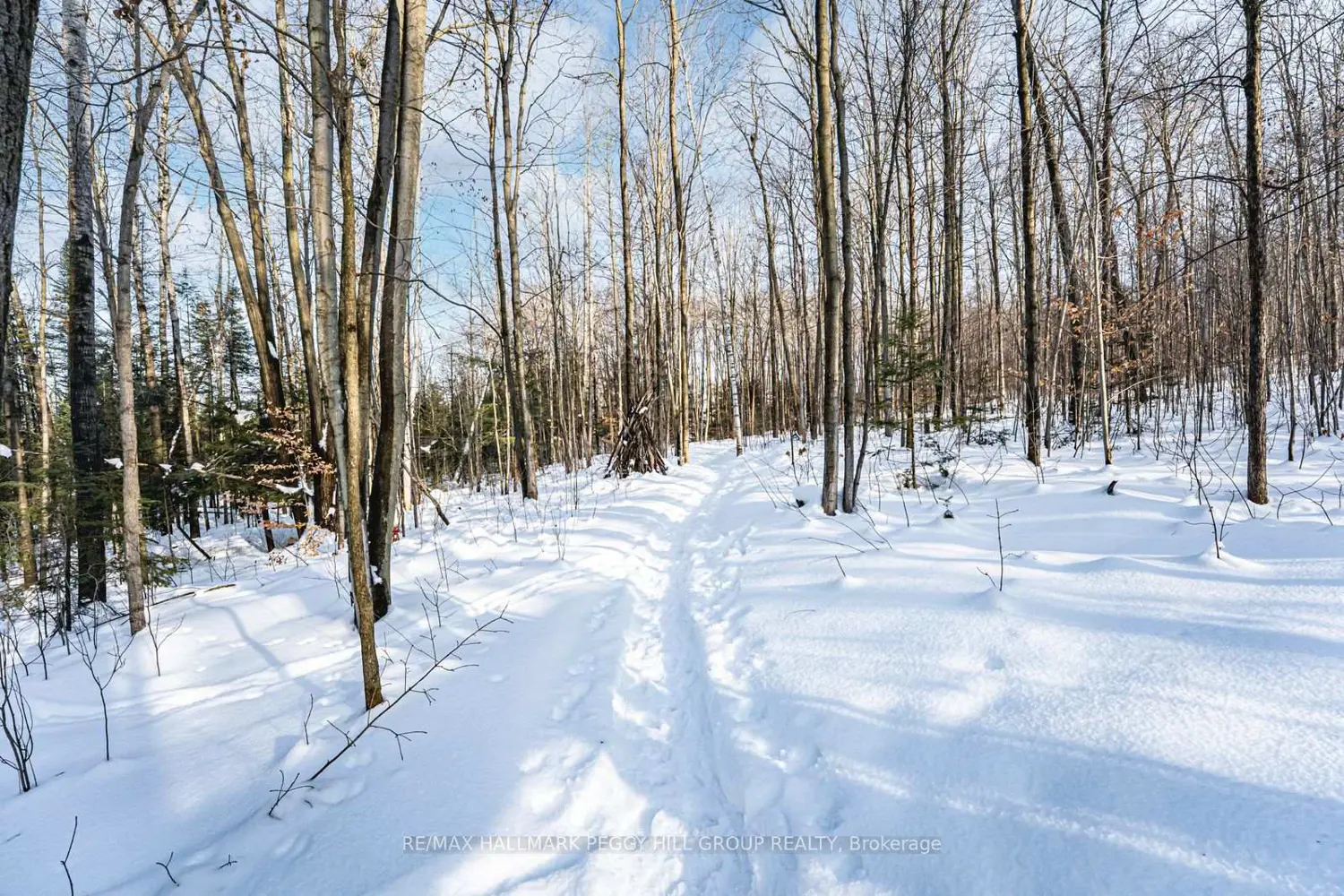 Additional image 17 of 16 Heron Boulevard