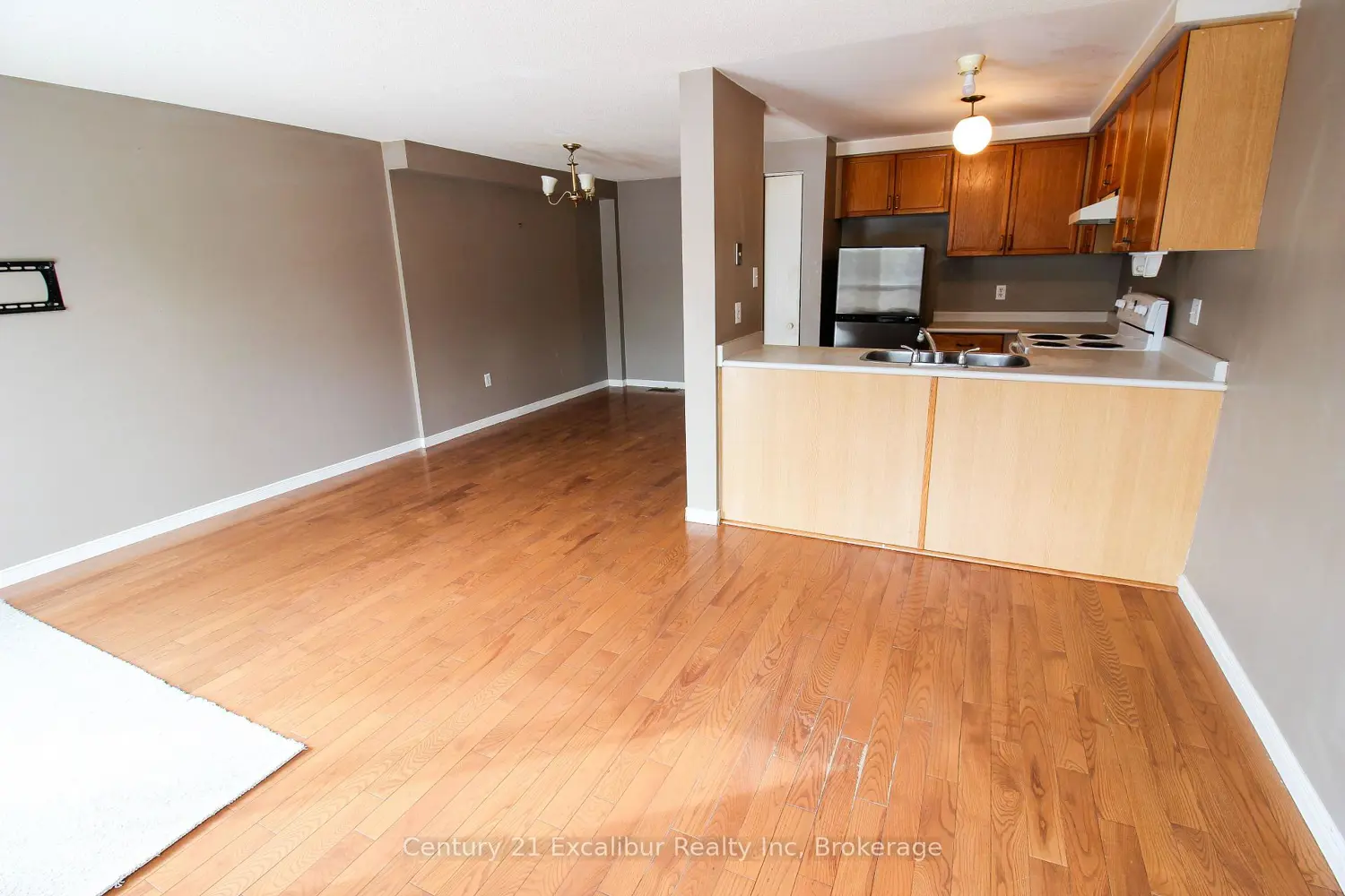 419 Flannery Drive photo 2