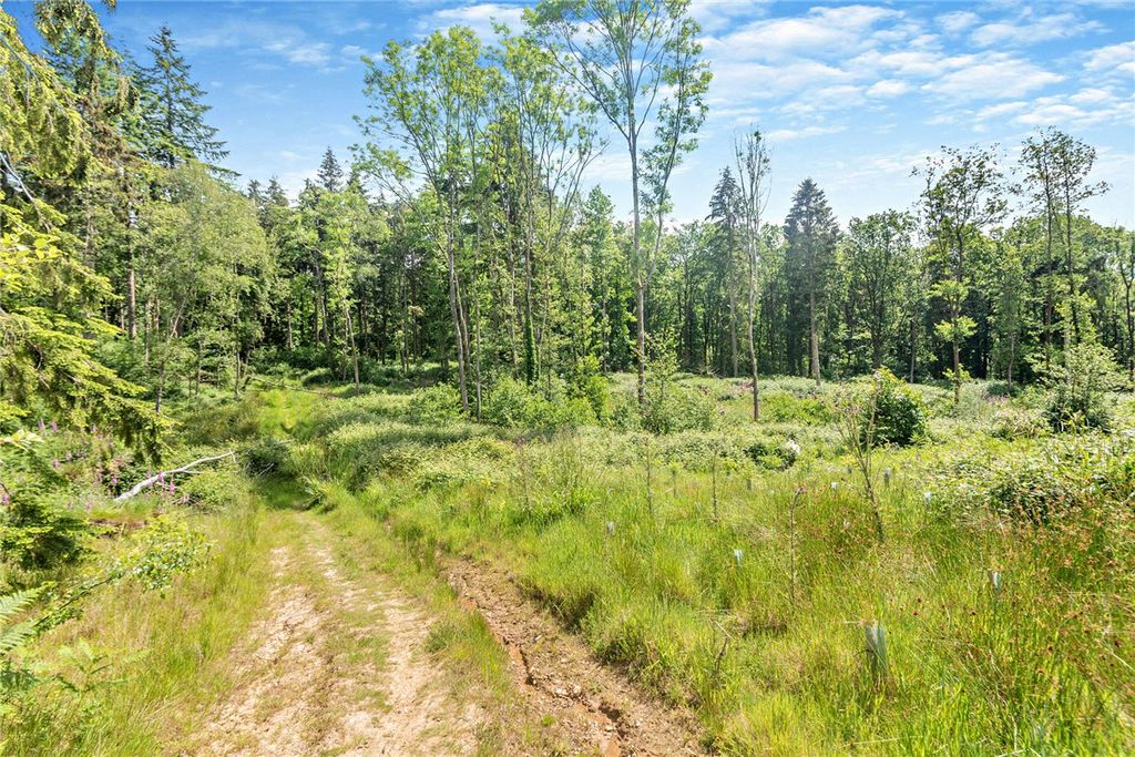 Additional image 8 of Land for saleBroad Lane, Upper Bucklebury, Reading, Berkshire RG7