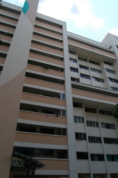 Additional image 14 of 236 Tampines Street 21