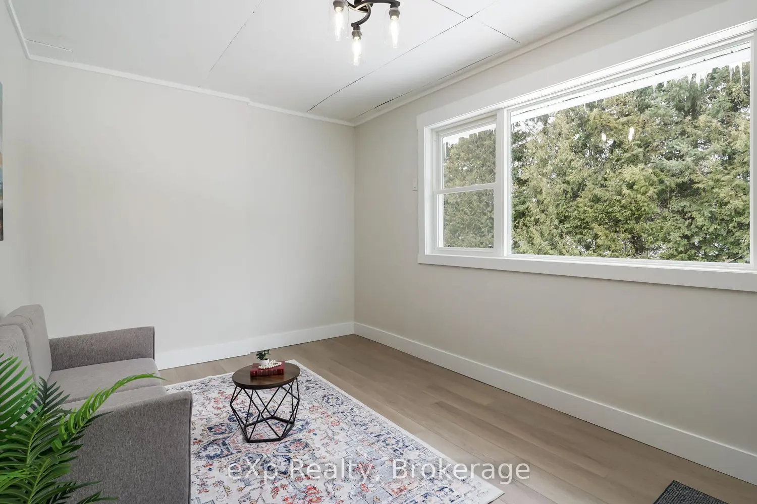 Additional image 9 of 221 Queen Street