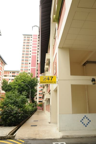 Additional image 11 of 247 Bishan Street 22