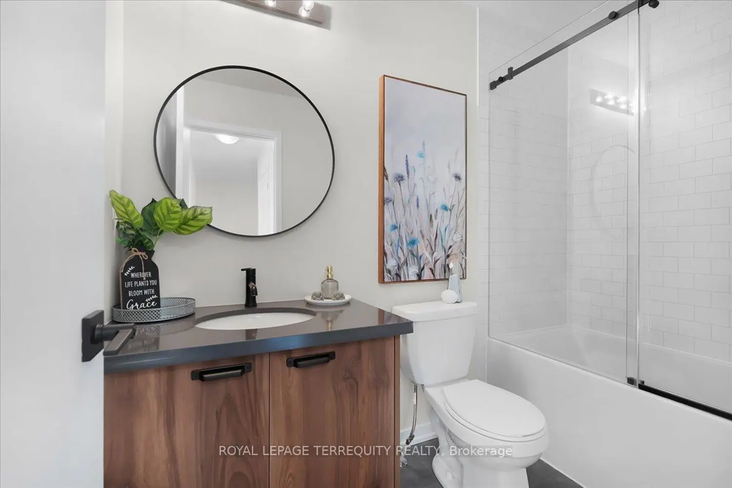 Additional image 13 of 38 Kingbird Common