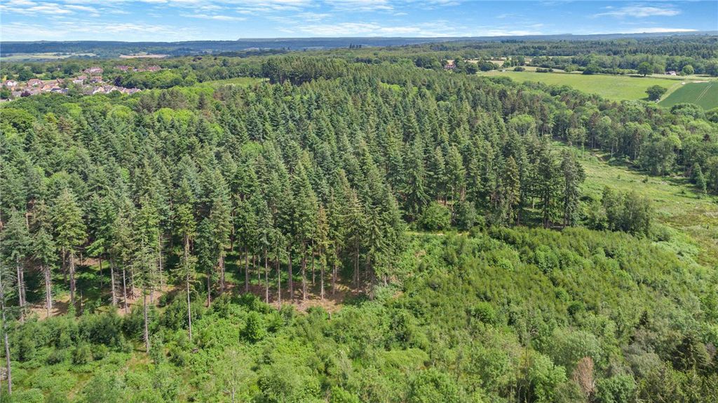 Additional image 4 of Land for saleBroad Lane, Upper Bucklebury, Reading, Berkshire RG7