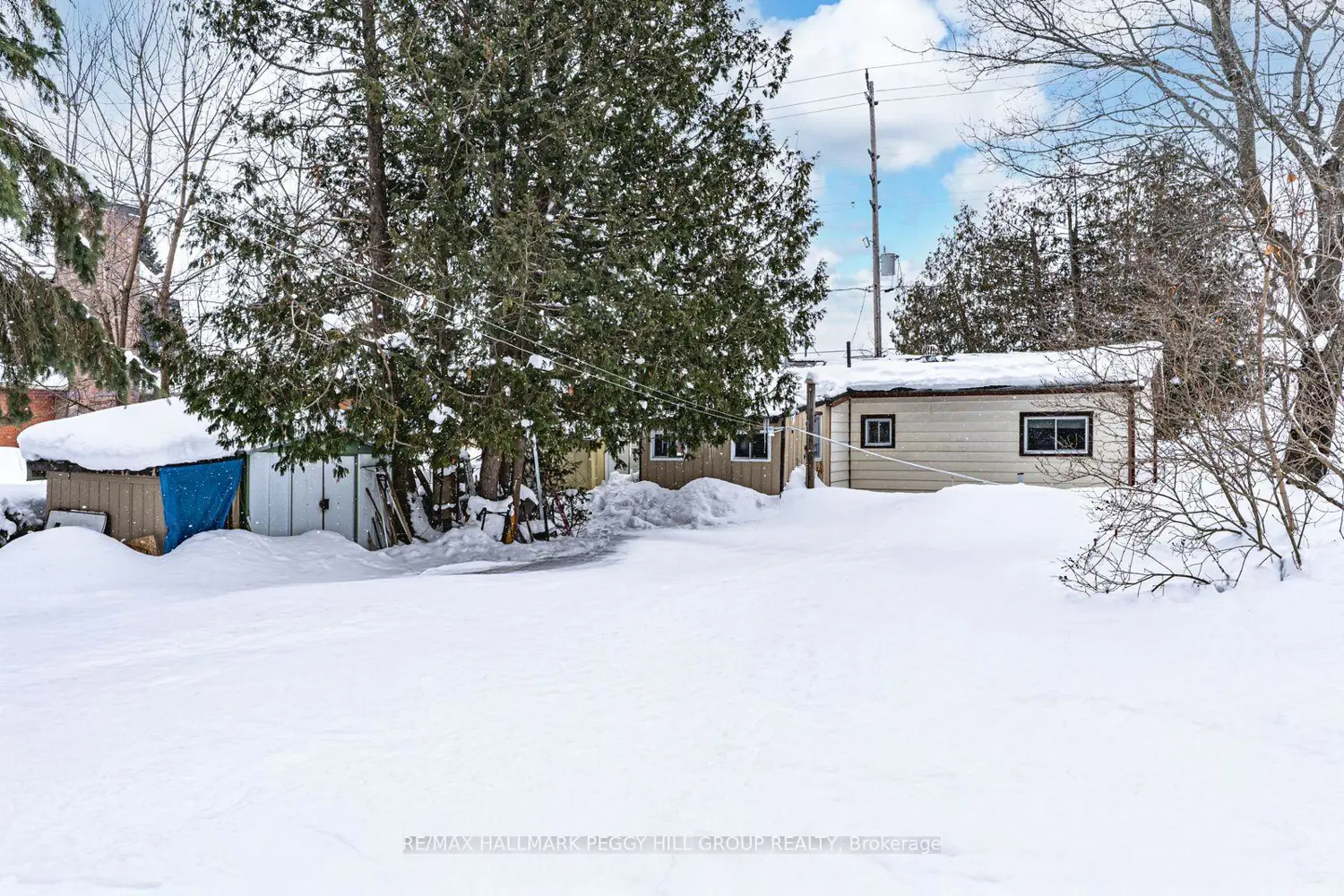 Additional image 12 of 1237 15 Line