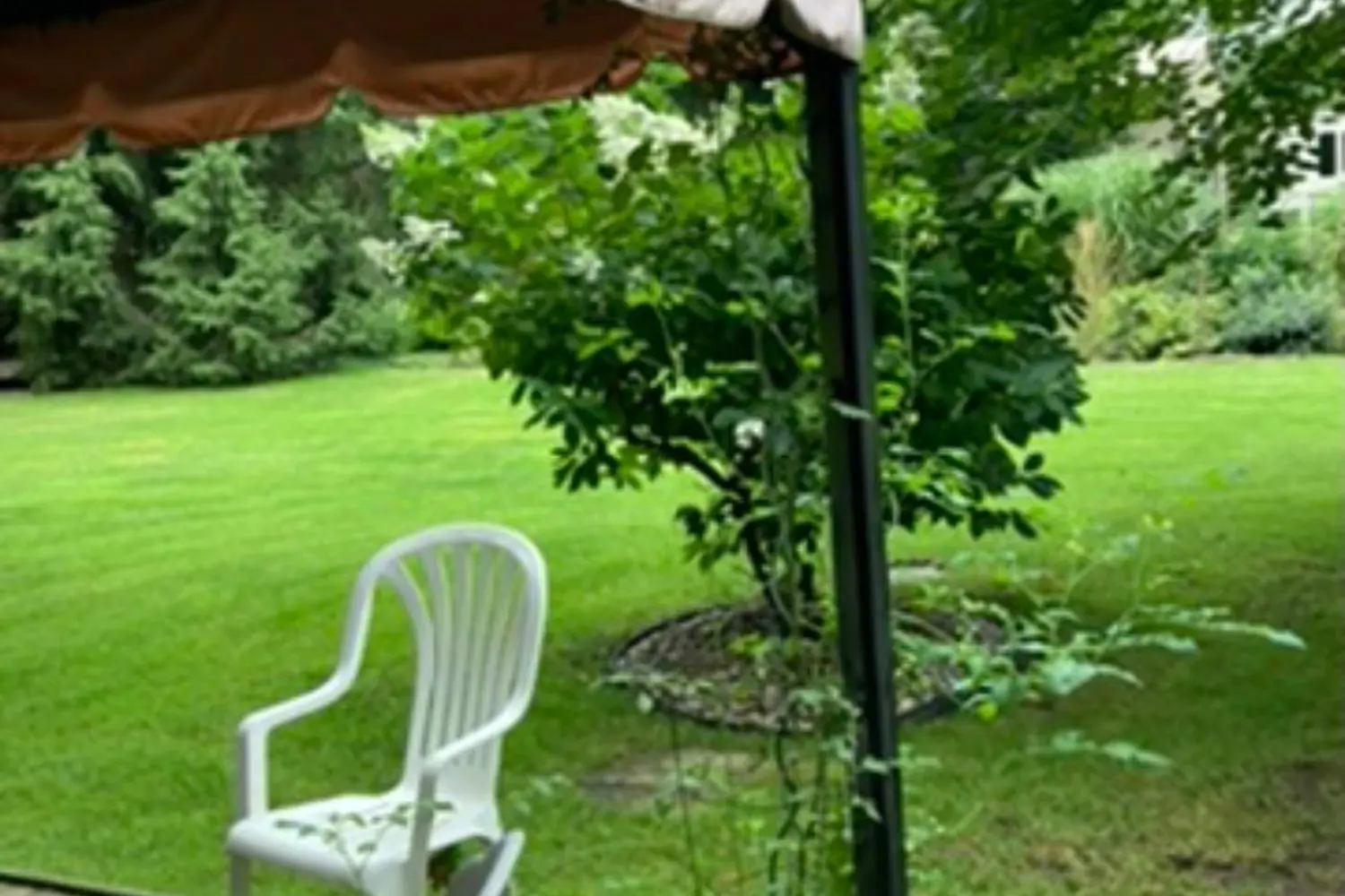 Additional image 20 of 293 Drummond Street