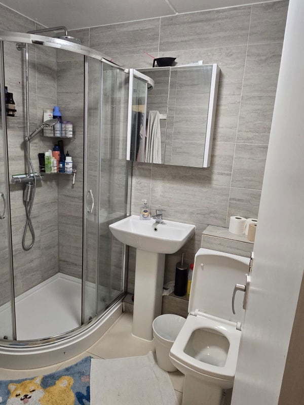 Additional image 9 of Room in a Shared Flat, Battersea Park Road, SW11, N1 7GU