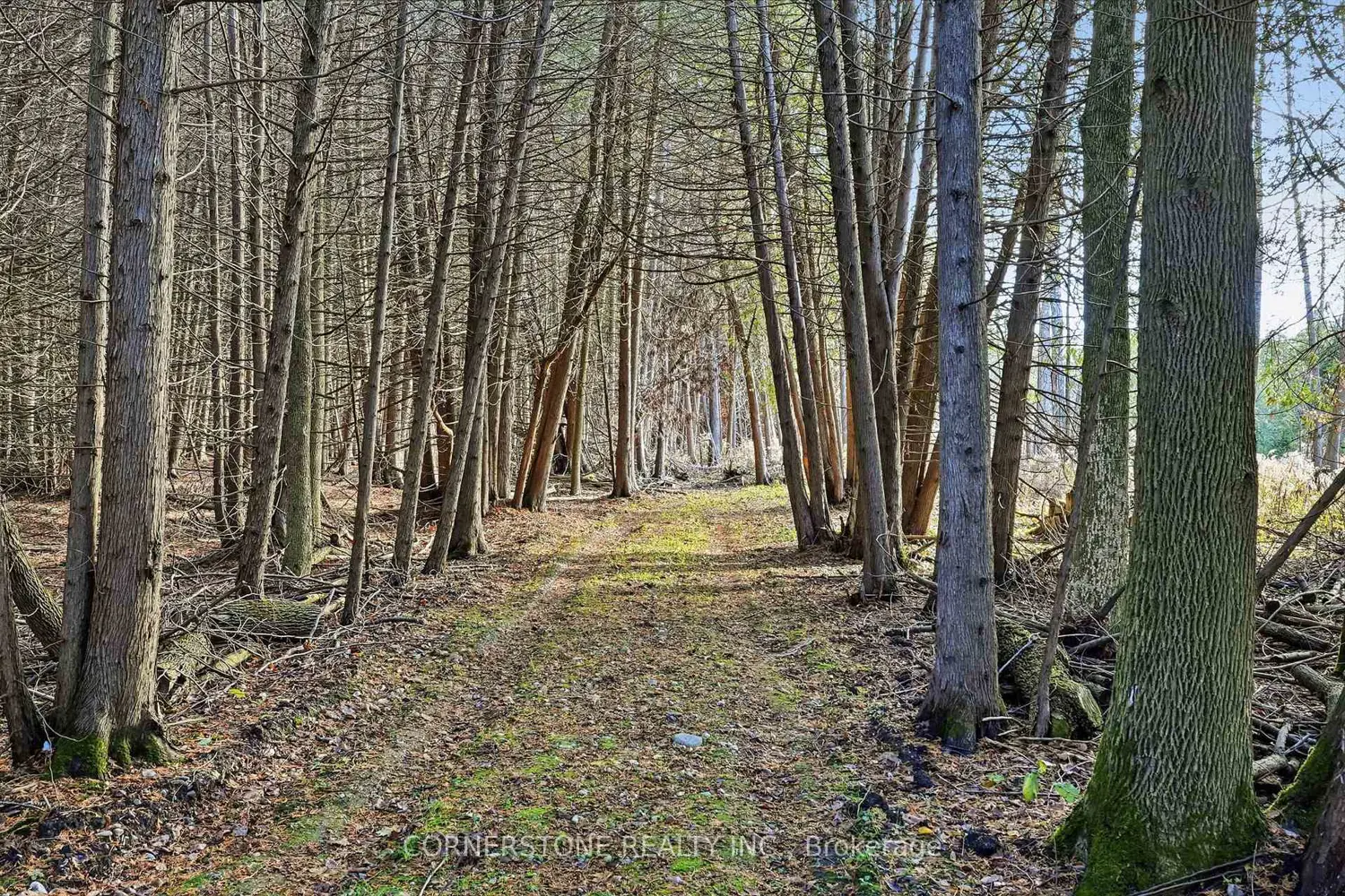 Additional image 3 of 86315 Kingsbridge Line