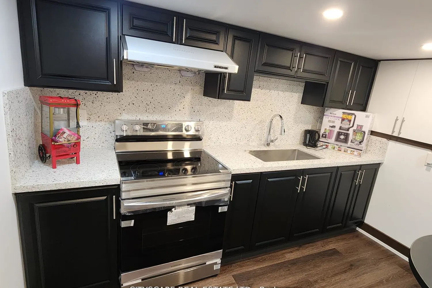 Additional image 18 of 94 Unionville Crescent