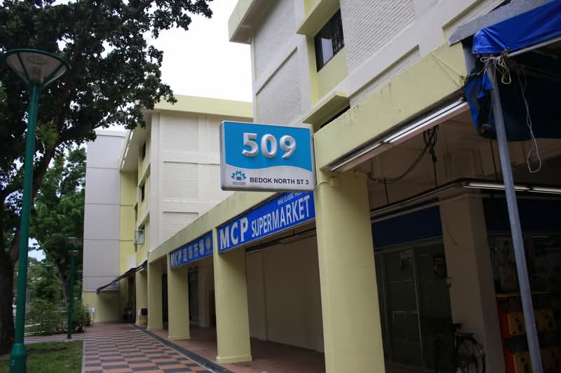 Additional image 15 of 509 Bedok North Street 3