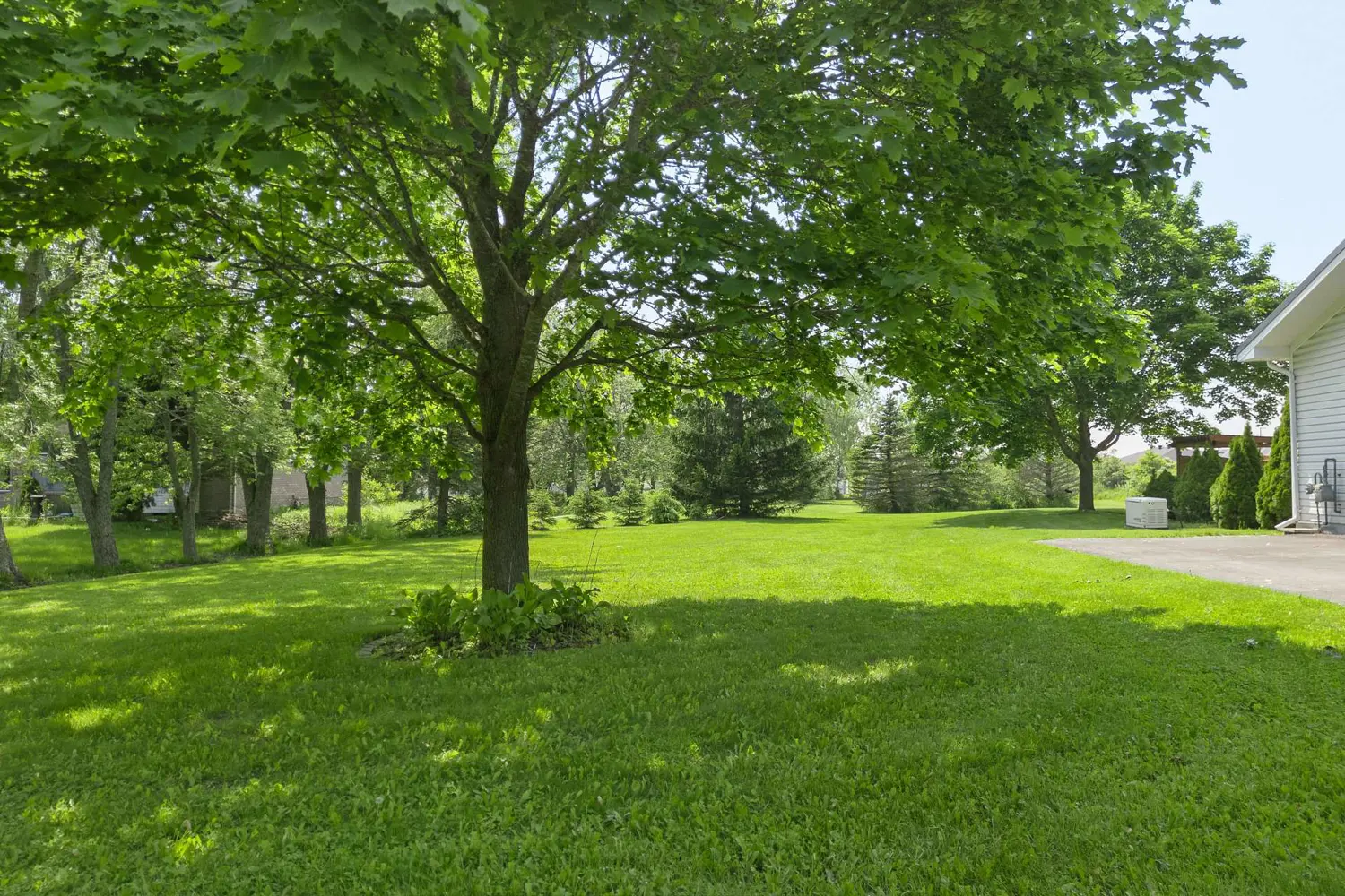 Additional image 19 of 288 Edward Street