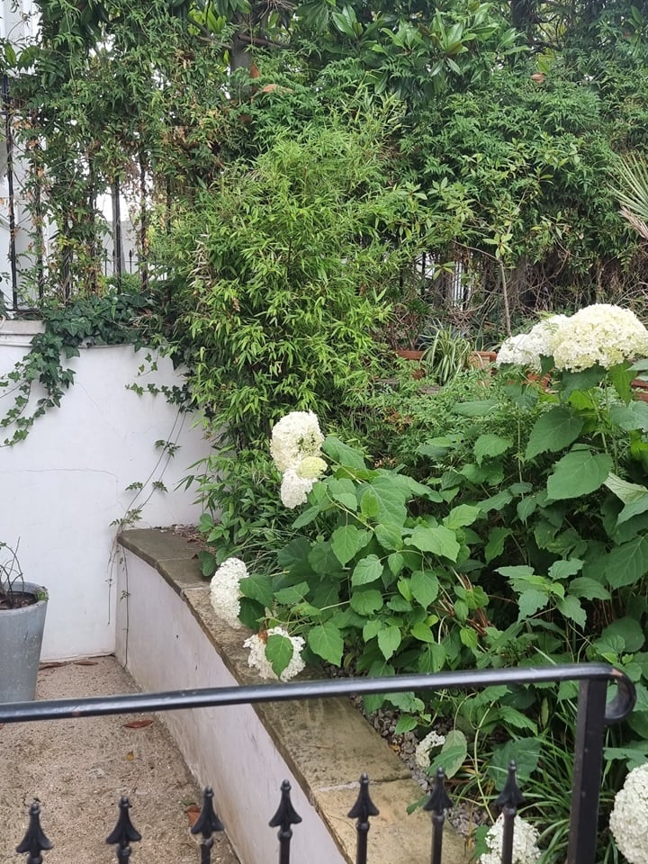 Additional image 2 of 1 Bed Flat, Holland Park, W11, N1 7GU