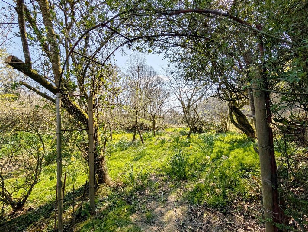 Additional image 40 of 6 bed country house for saleAbergorlech Road, Carmarthen SA32