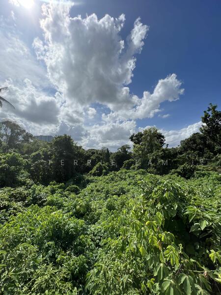 Additional image 5 of Toh Tuck Rise