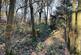Additional image 8 of Didley Wood, Callow HR2
