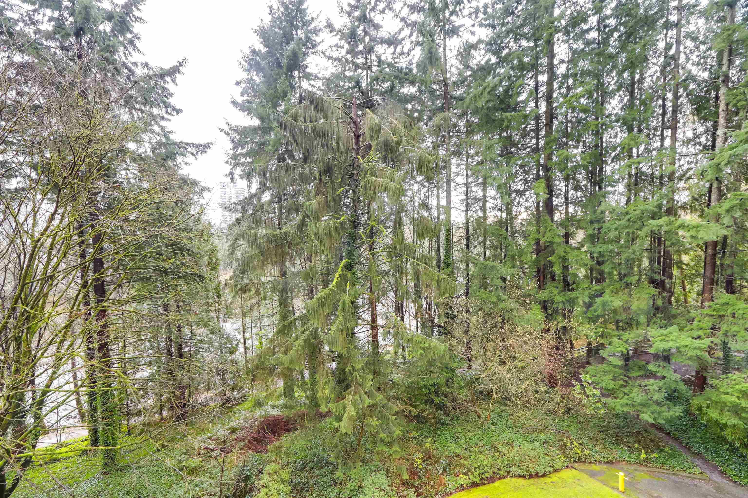 Additional image 2 of 402-2024 Fullerton Avenue, North Vancouver, BC, V7P 3G4