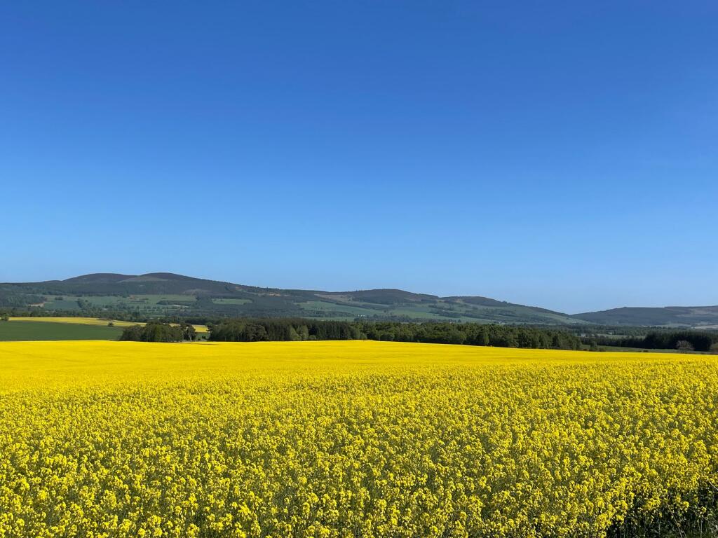 Additional image 4 of Crookmore Steading, Montgarrie, AB33