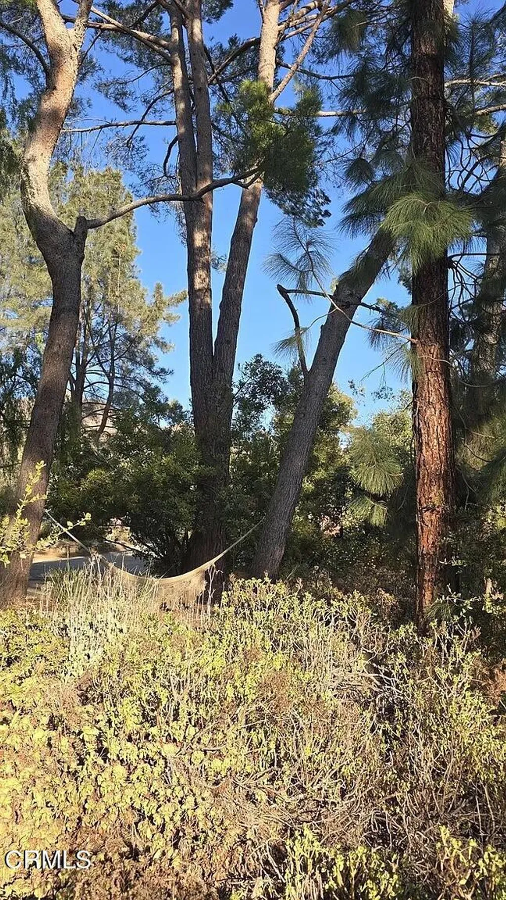 Additional image 53 of 1450 McAndrew Road, Ojai, CA 93023