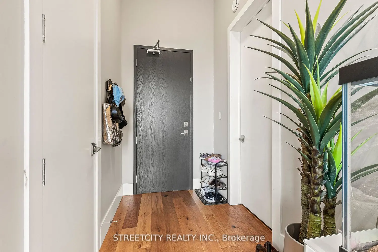 1705 Fiddlehead Place 400 photo 5