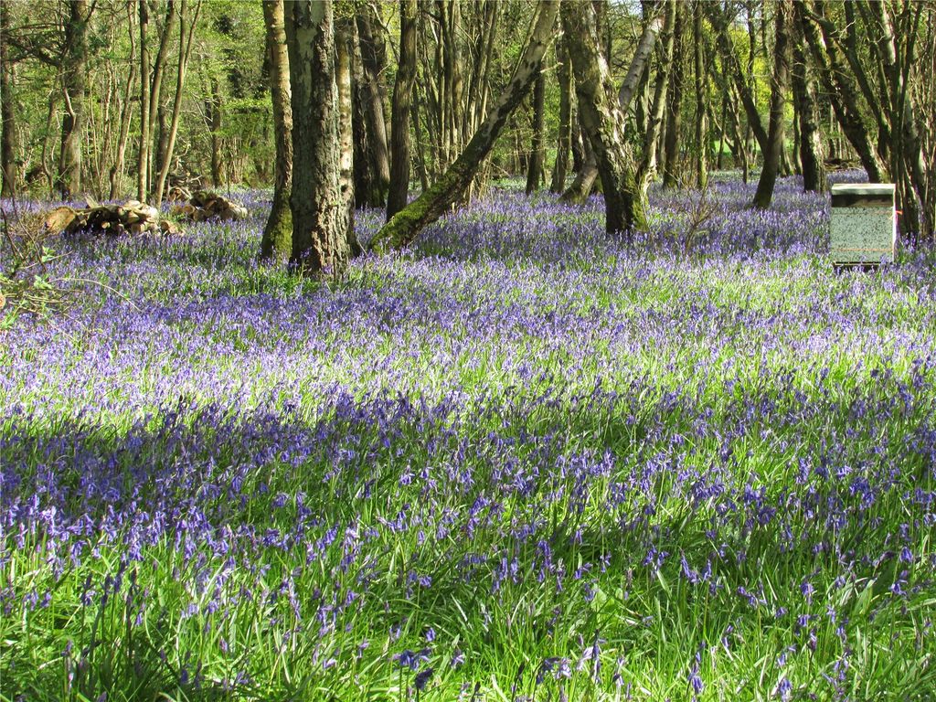 Additional image 12 of Land for saleGolf Club Lane, Piltdown, Uckfield, East Sussex TN22