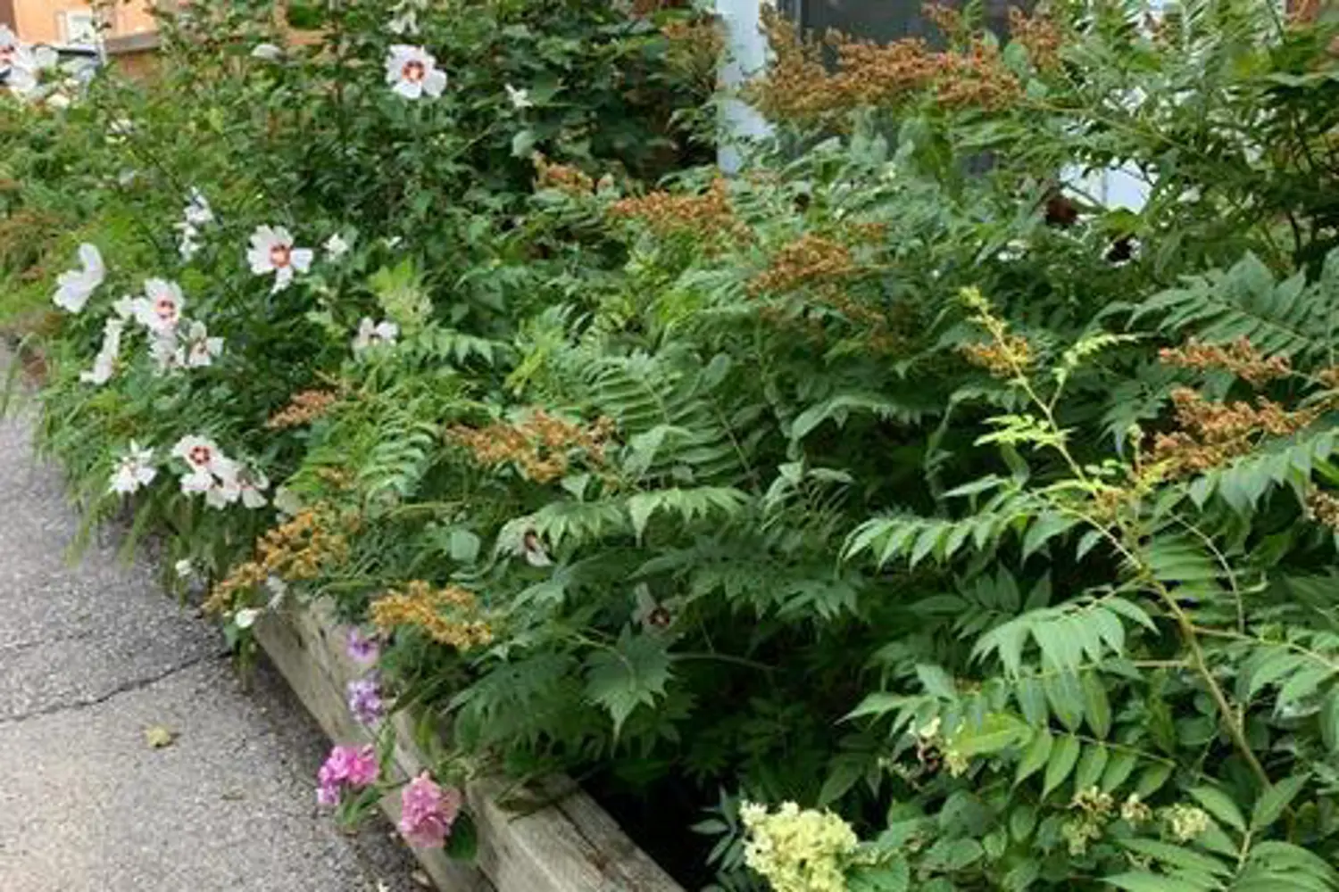 Additional image 16 of 1020 Central Park Drive 39