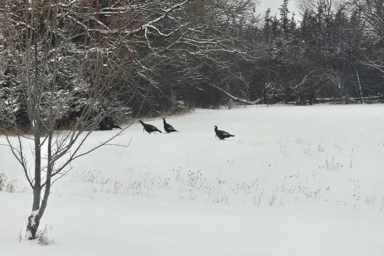 Additional image 20 of 118 Hubbs Road