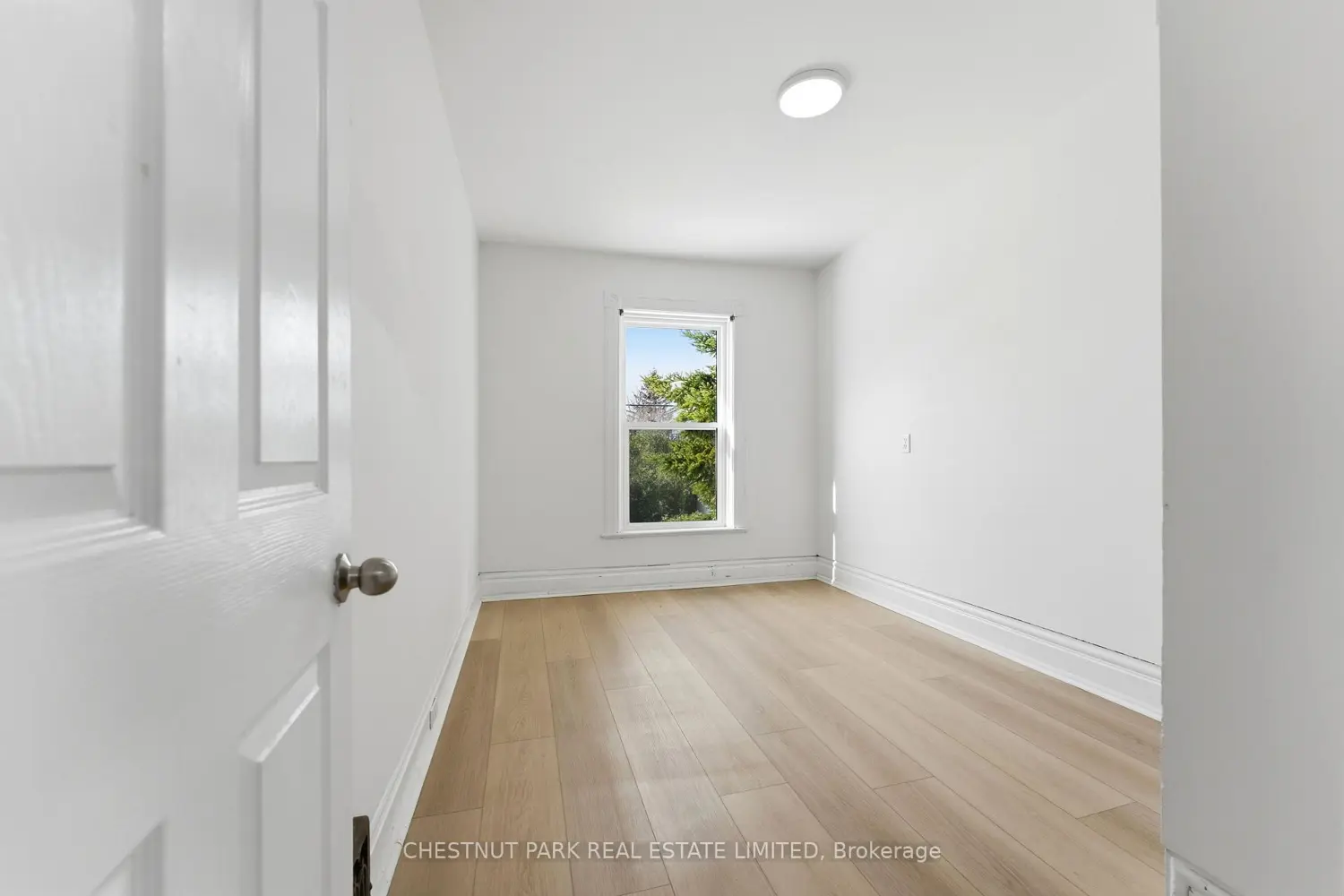 Additional image 8 of 43 Dunbar Street