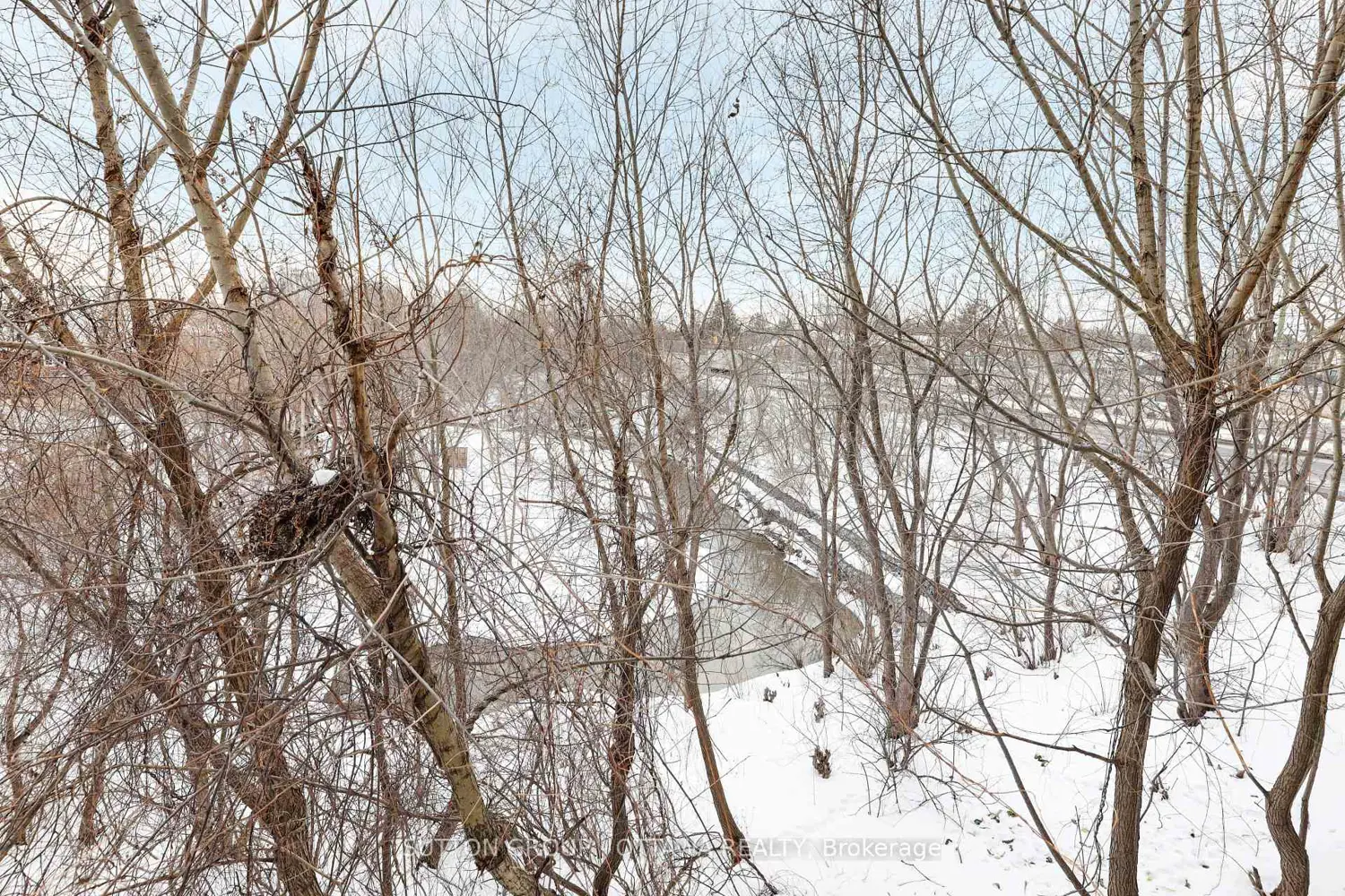 Additional image 10 of 115 Tall Pines Private