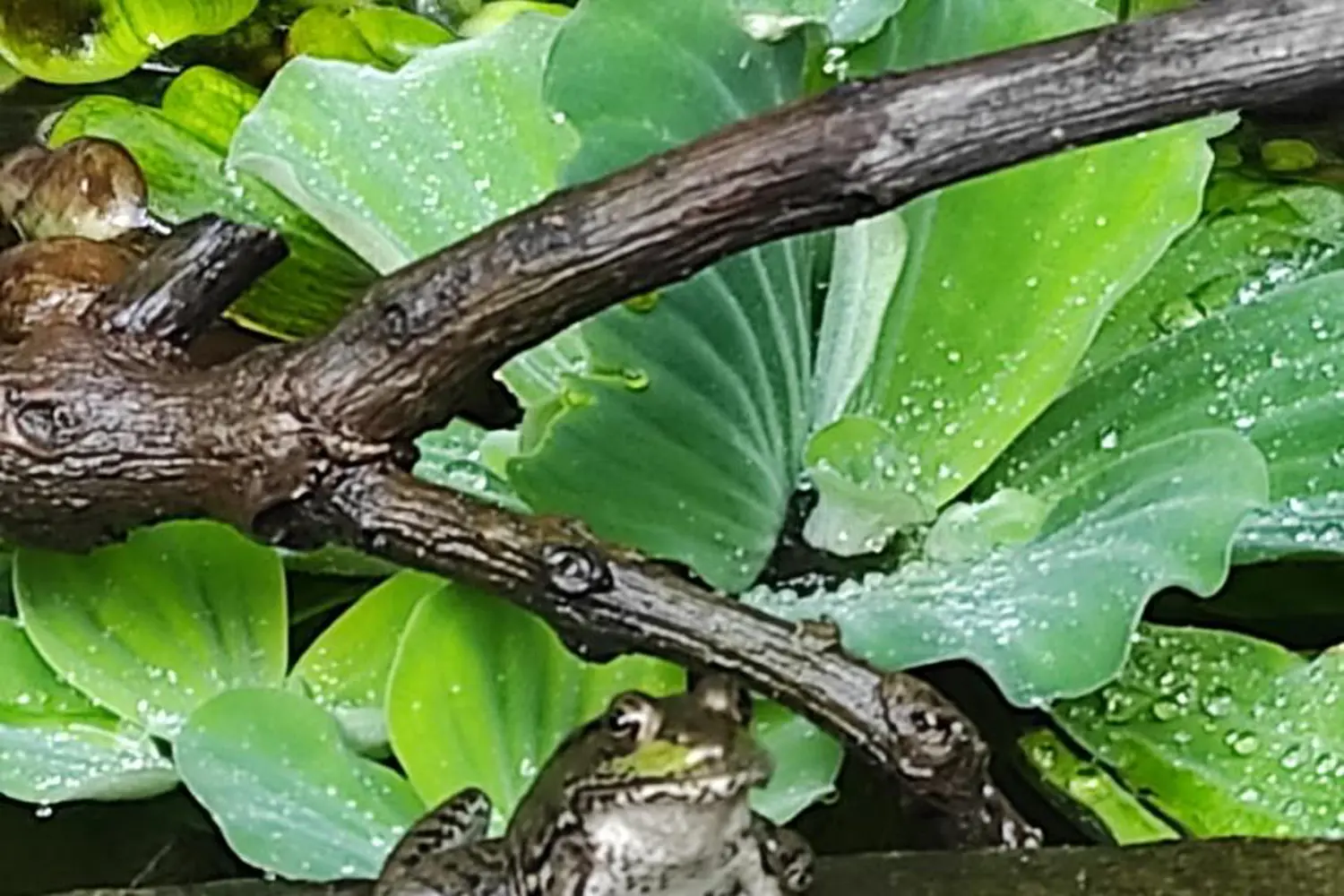 Additional image 20 of 119 Port Robinson Road