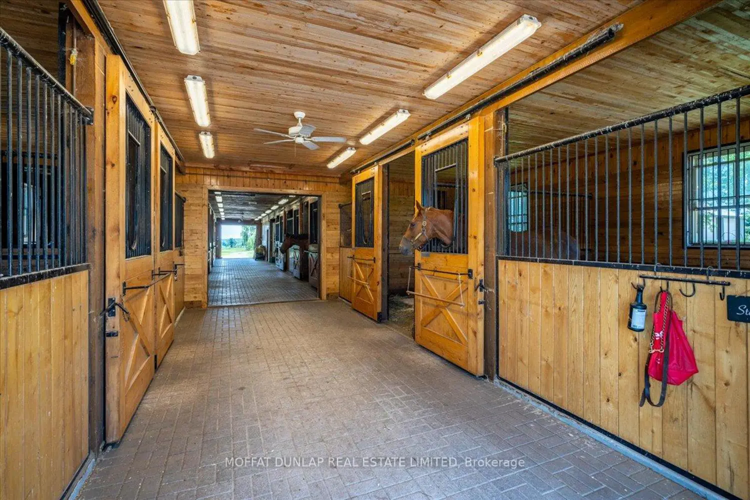 Additional image 19 of 14285 8Th Concession Road