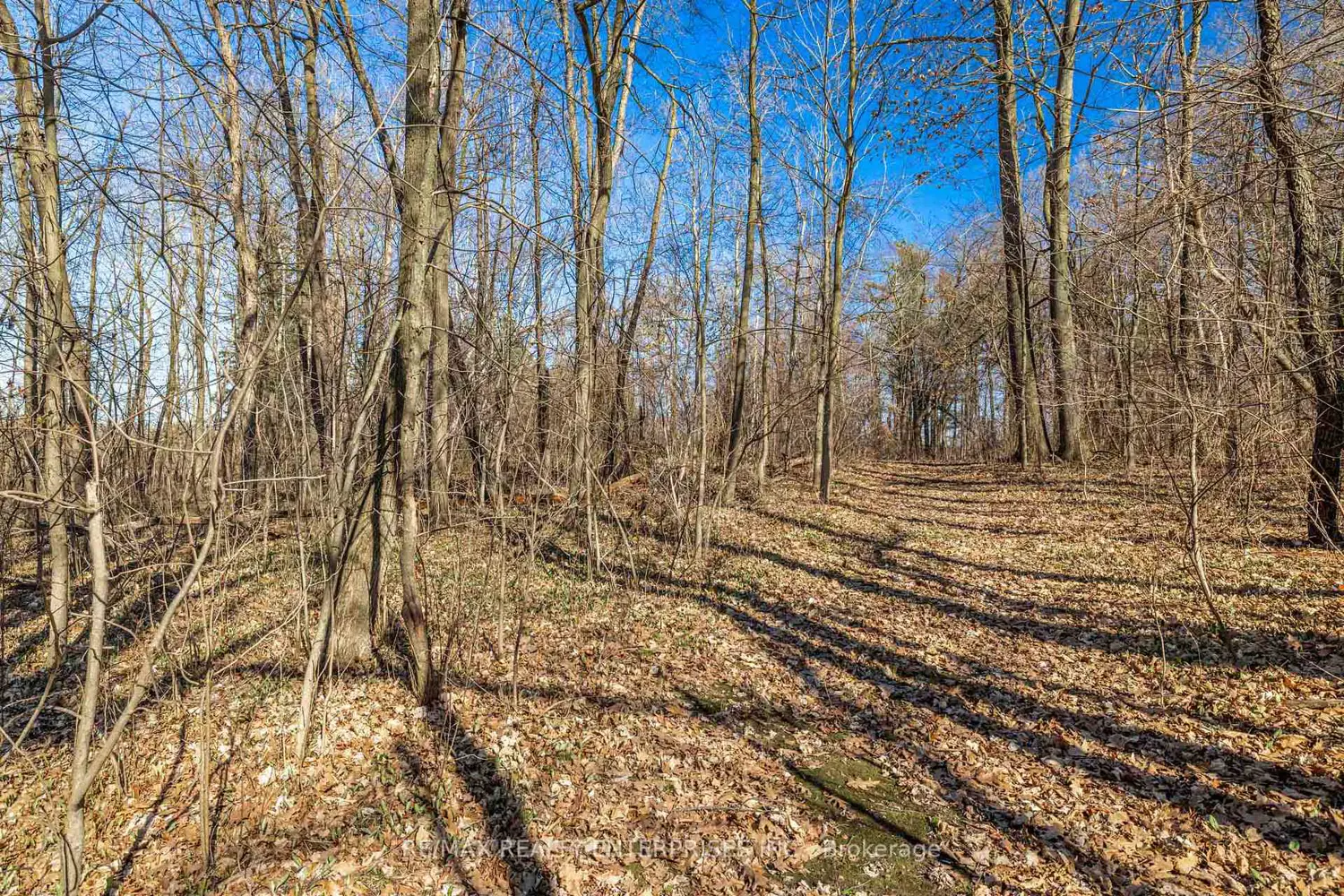 Additional image 7 of 2739 Embleton Road