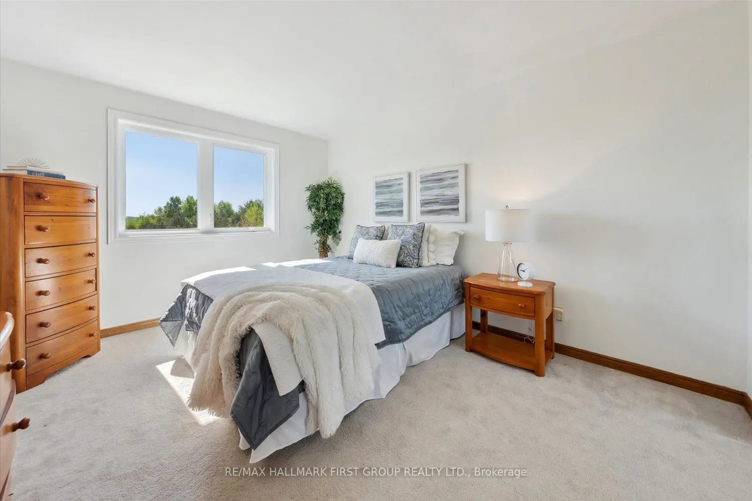 Additional image 11 of 4655 Sideline 6