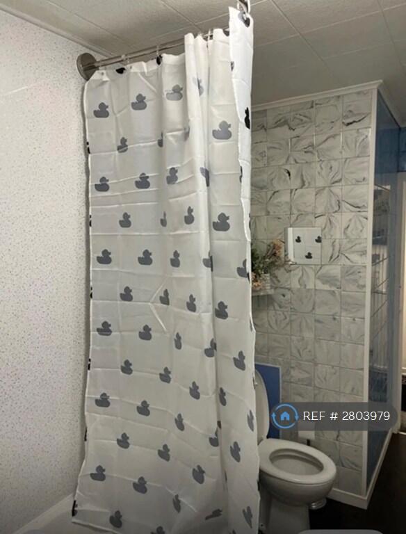 Additional image 15 of Brierfield Terrace, Aberdeen, AB16