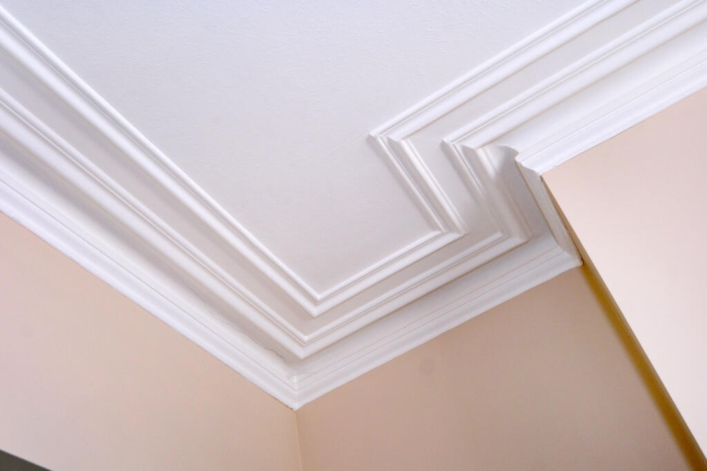 Additional image 8 of 561 Great Western Road, Mannofield, Aberdeen, AB10