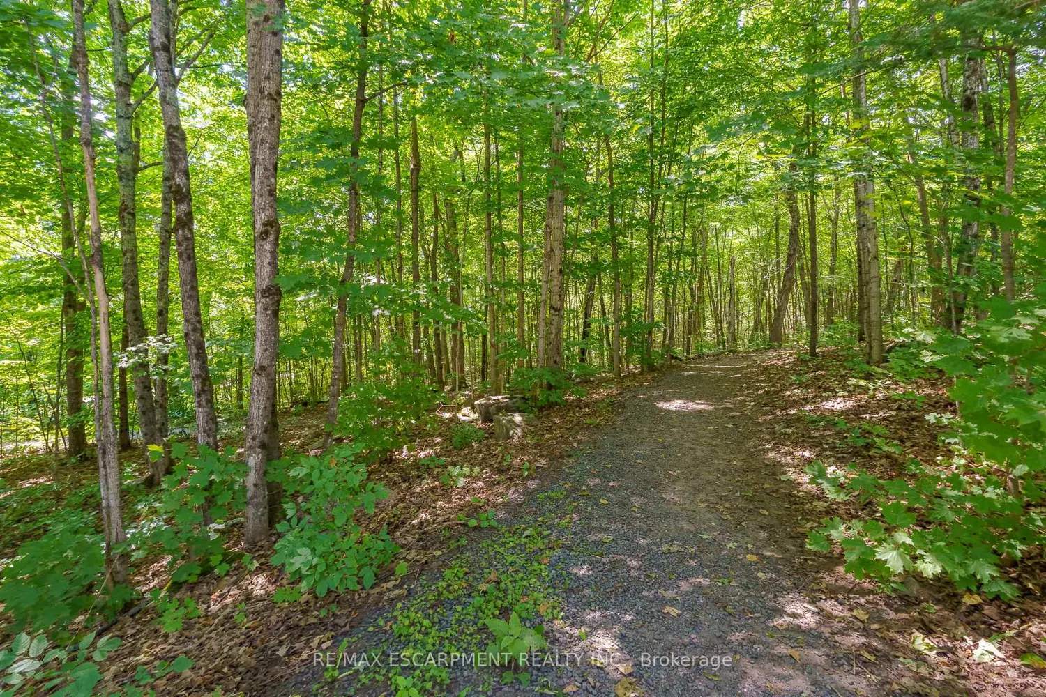 Additional image 20 of 131 Grandview Hilltop Drive 1