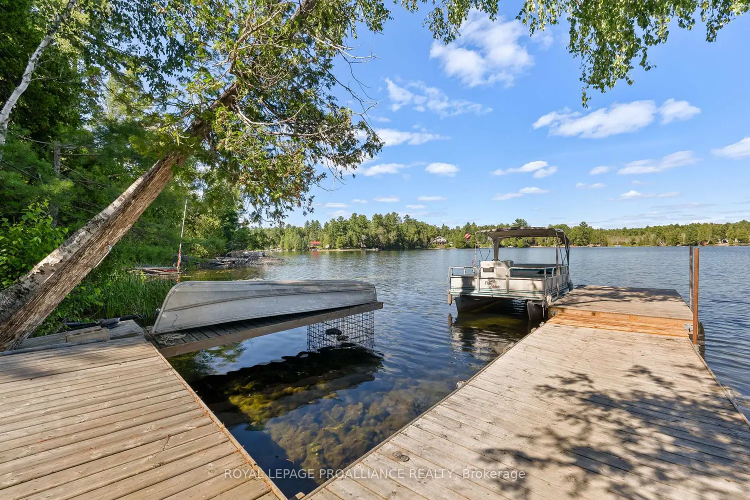Additional image 13 of 5 Water-Gunter Lk