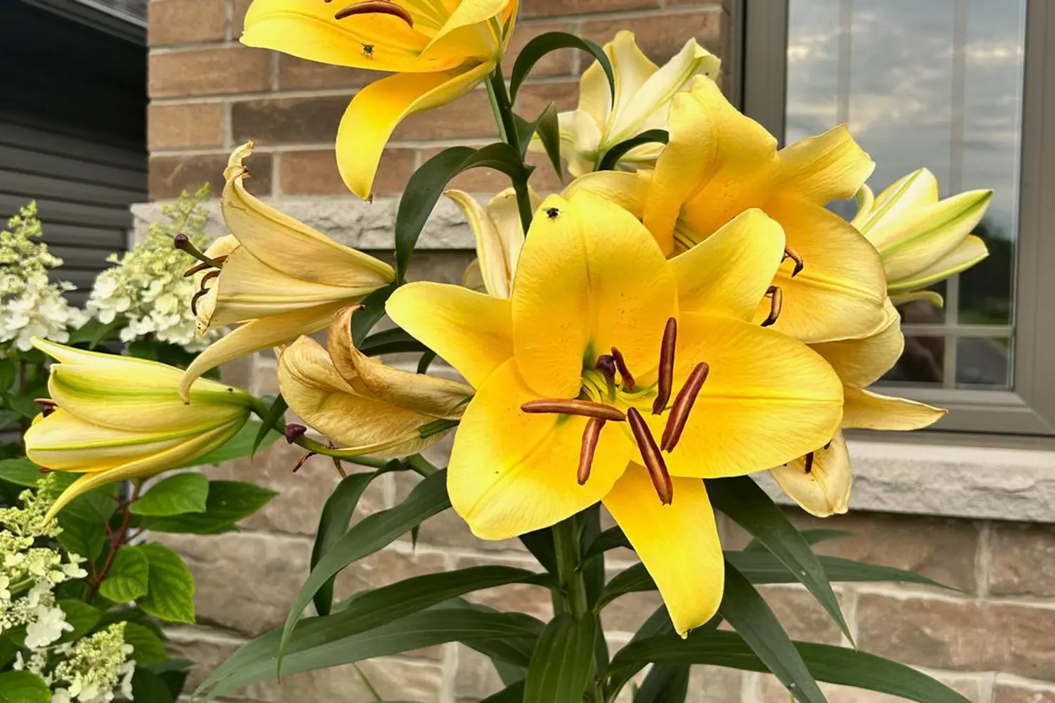 Additional image 17 of 16 Matheos Crescent