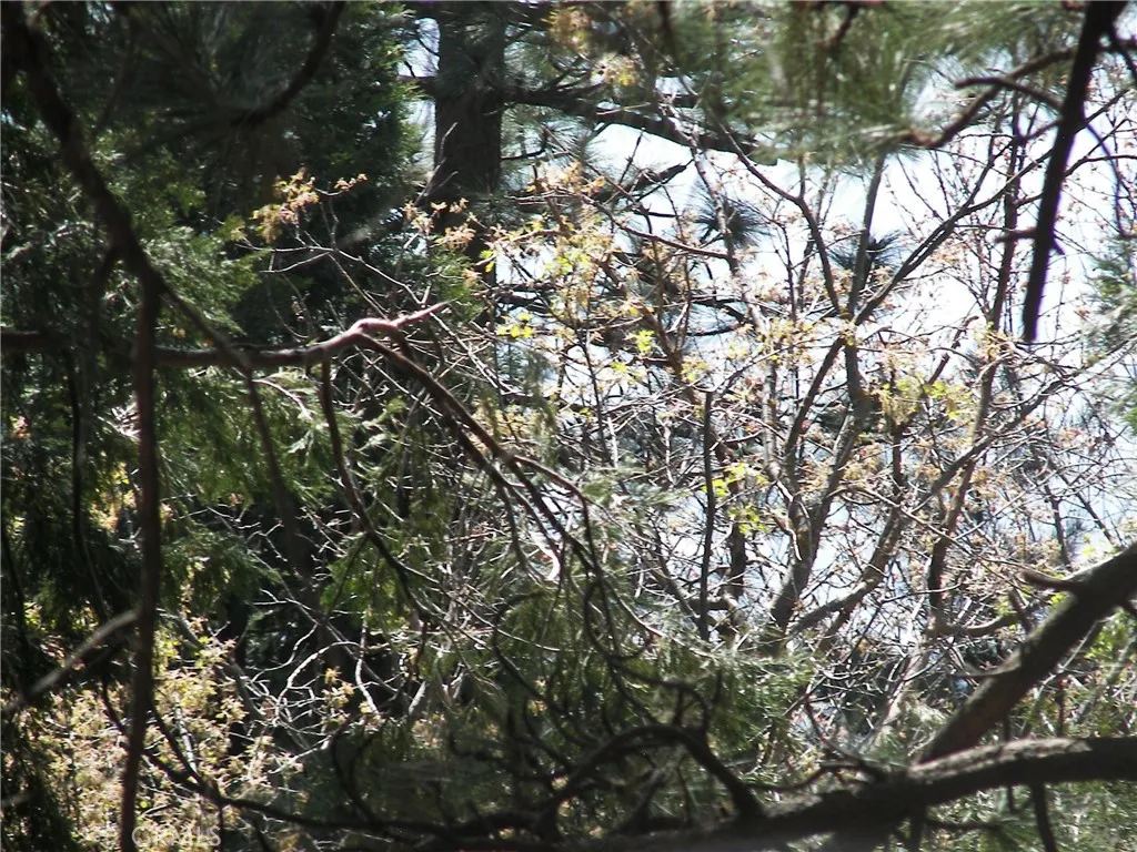 Additional image 72 of 21636 Sawpit Canyon Rd, Cedarpines Park, CA 92322