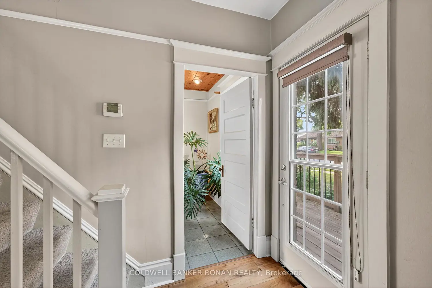 12 Nelson Street photo 3