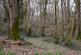 Additional image 10 of Callow, Hereford HR2
