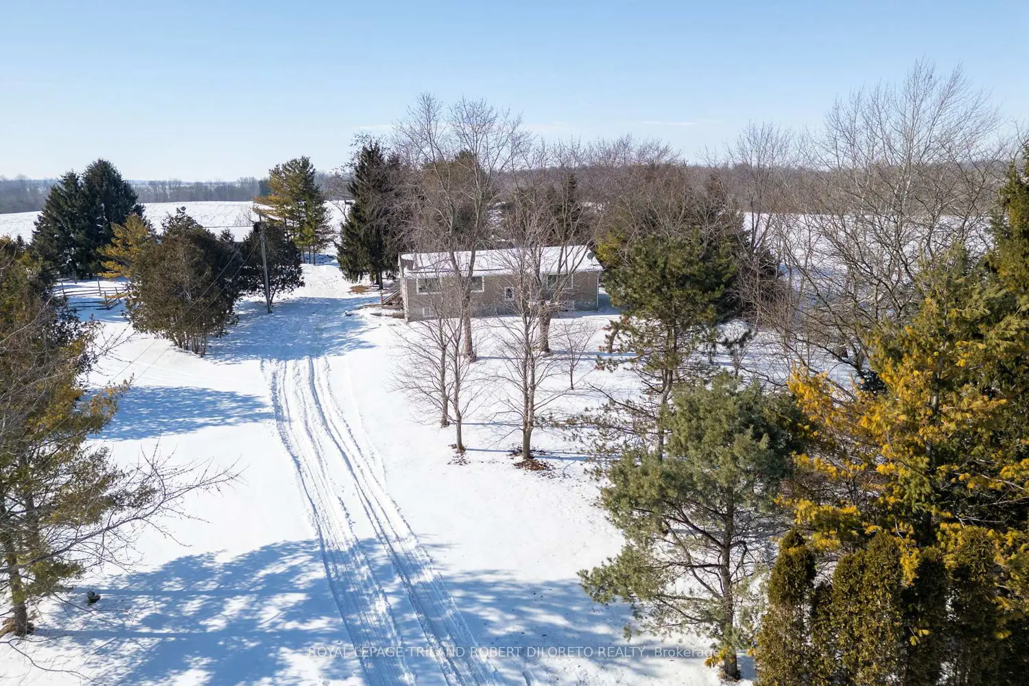 Additional image 9 of 21477 Springfield Road