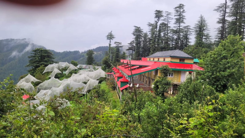 Additional image 3 of Kufri, Shimla