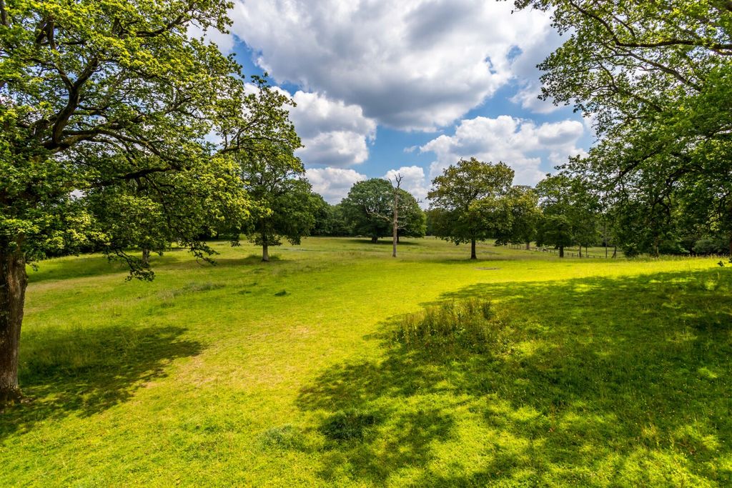 Additional image 8 of Land for saleEwhurst, Surrey GU6