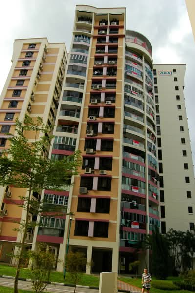 Additional image 24 of 289A Bukit Batok Street 25