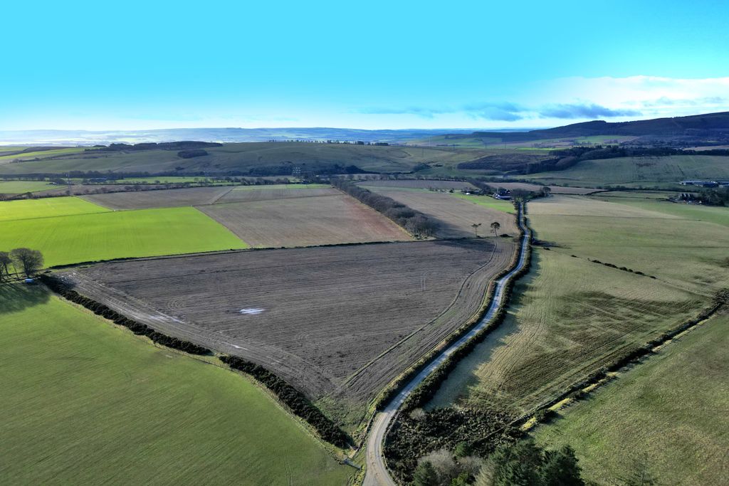 Land for saleDellavaird, Auchenblae AB30 photo 3
