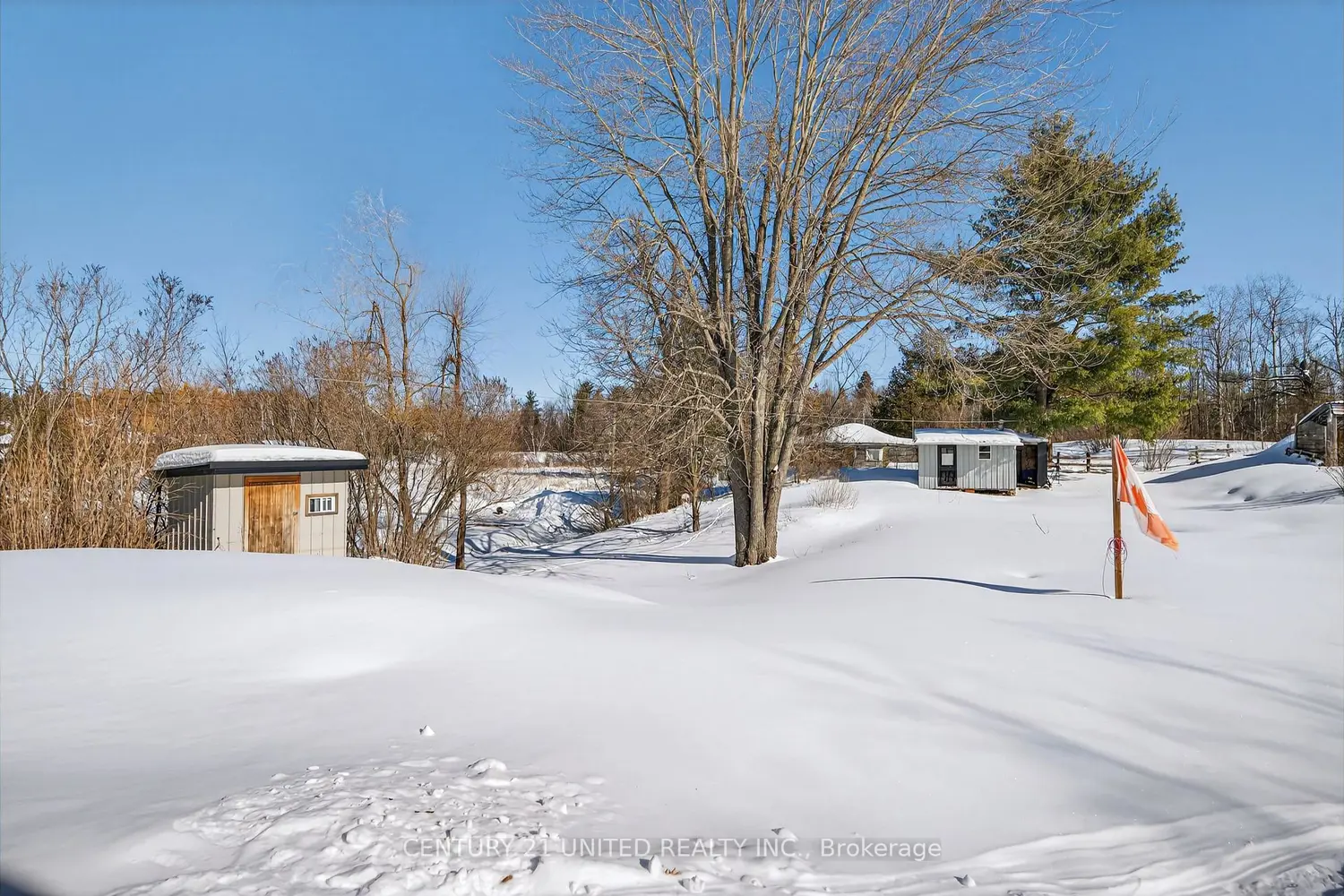 Additional image 20 of 17224 Highway 62