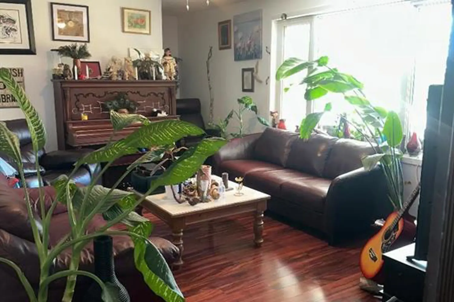 609 Lower Slash Road photo 5