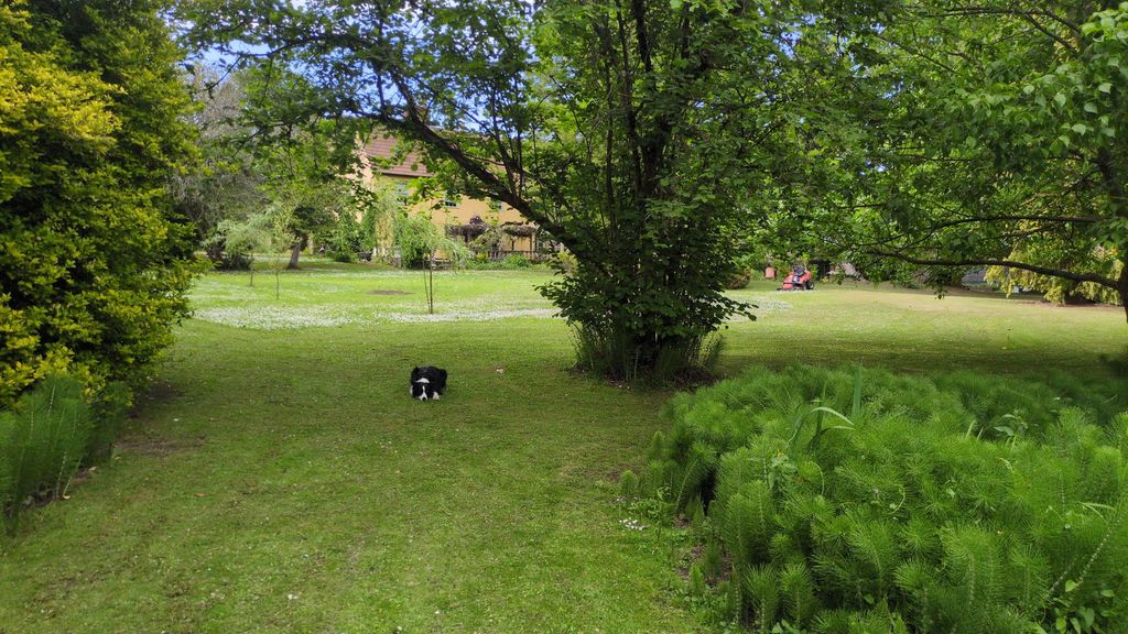 Additional image 40 of 6 bed country house for saleMoor Hall & Meadowside, Stoke By Clare, Suffolk CO10