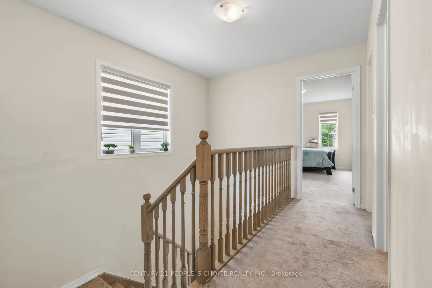 Additional image 8 of 8670 Chickory Trail