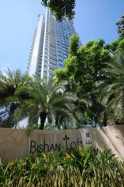 Additional image 9 of 31 Bishan Street 11